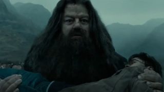 Hagrid carrying Harry out of the woods.