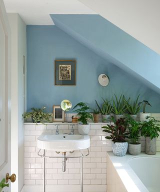 bathroom with light blue wall, white subway tiles and lots of plants on shelf