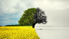 Seasons are periods of the year with distinct weather conditions and day lengths.