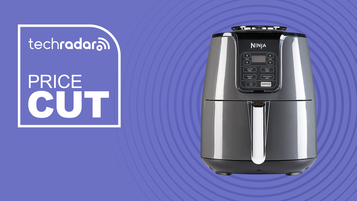 slashed the price of this Ninja Mini Air Fryer by 50%