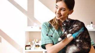 7 reasons to get your pet insured – a vet’s view