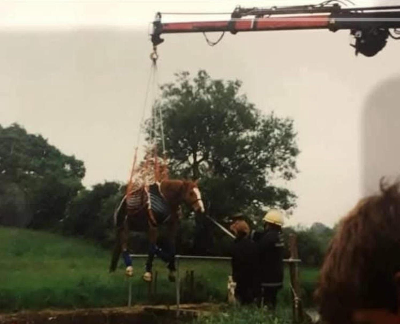 Rupert1