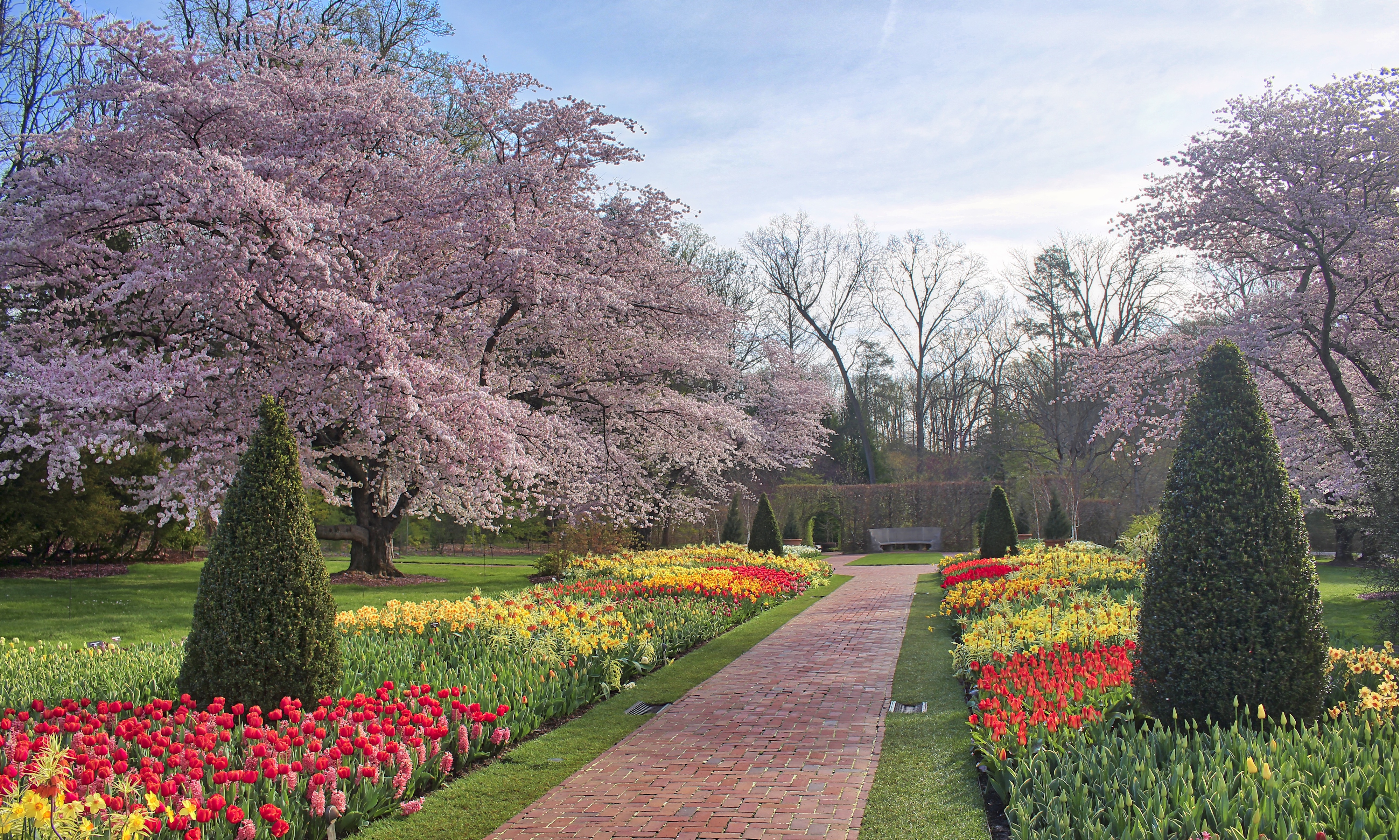 Spring bulbs in the Flower Garden Walk at Longwood Gardens