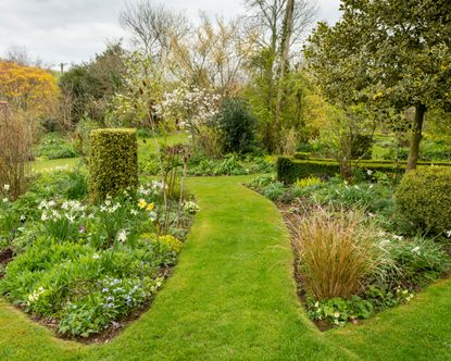 garden beds in a spring garden with topiary and grasses
