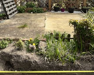 A backyard with soil, wooden pallets in background, potted plants and yellow measuring tape