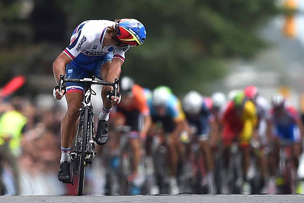 Sagan in the final stretch
