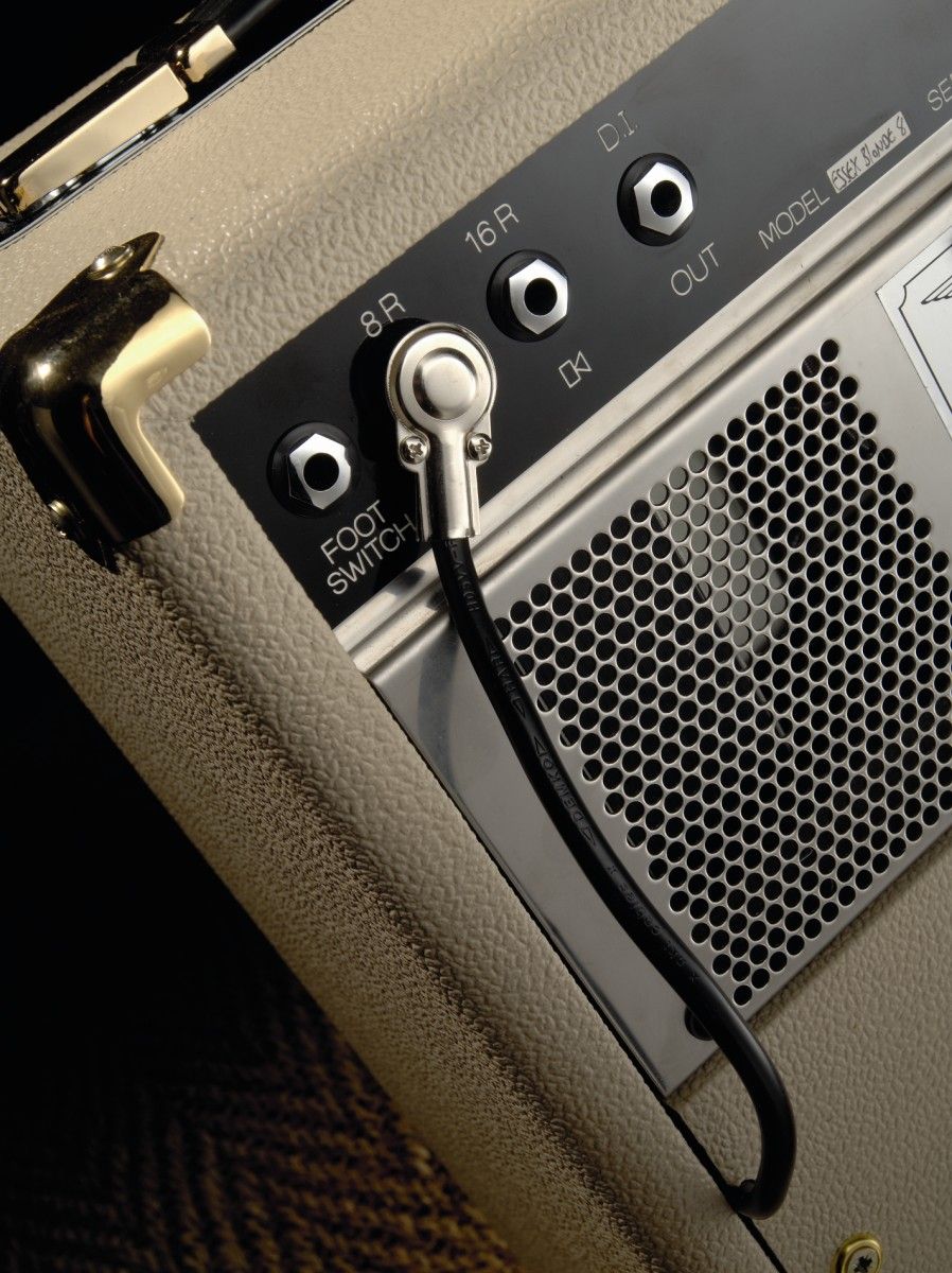 You can connect external speakers and utilise a DI recording output on the rear panel.