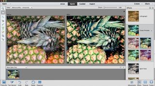 Adobe Photoshop Elements 13 cross-process effect