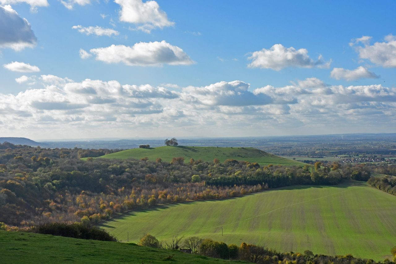 The view from Coombe Hill to Beacon Hill and Aylesbury Plain beyond.