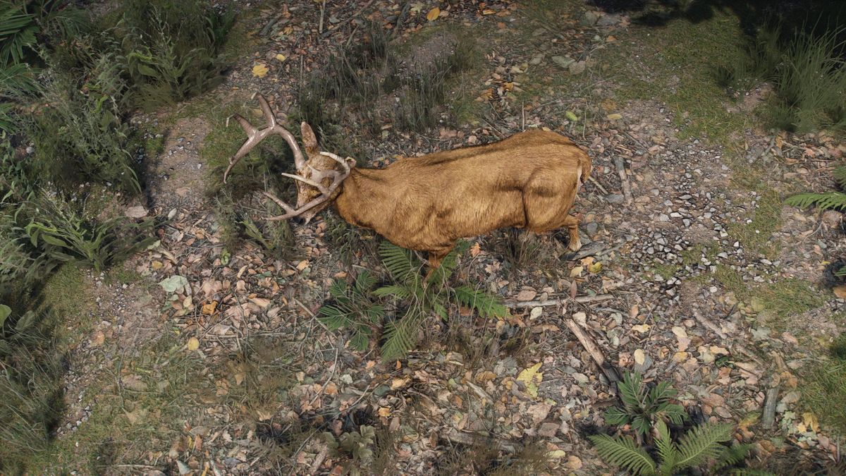You've never seen GTA 5 look so beautifully realistic after ...