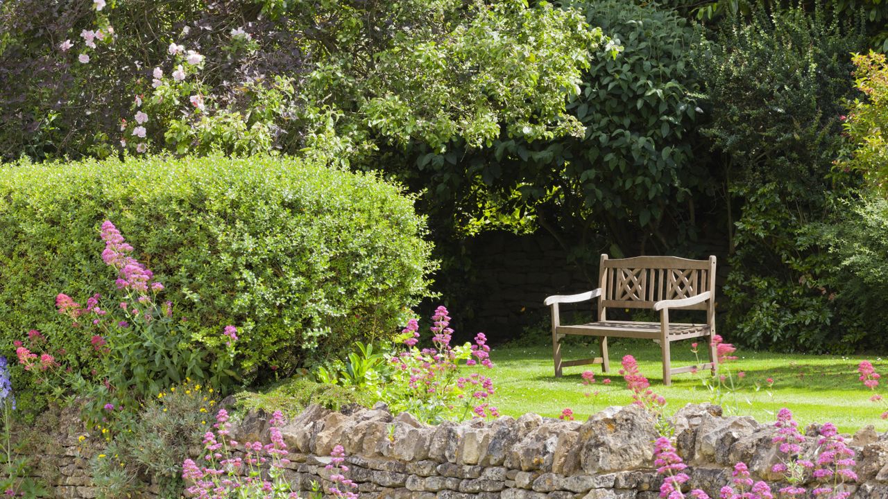 Garden with a hedge as a fence