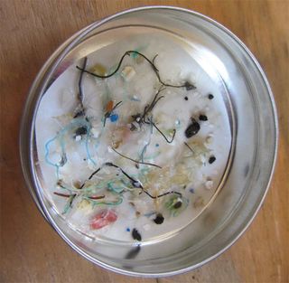 Using net tows, the students collected samples of plastic debris (shown here) in the ocean.