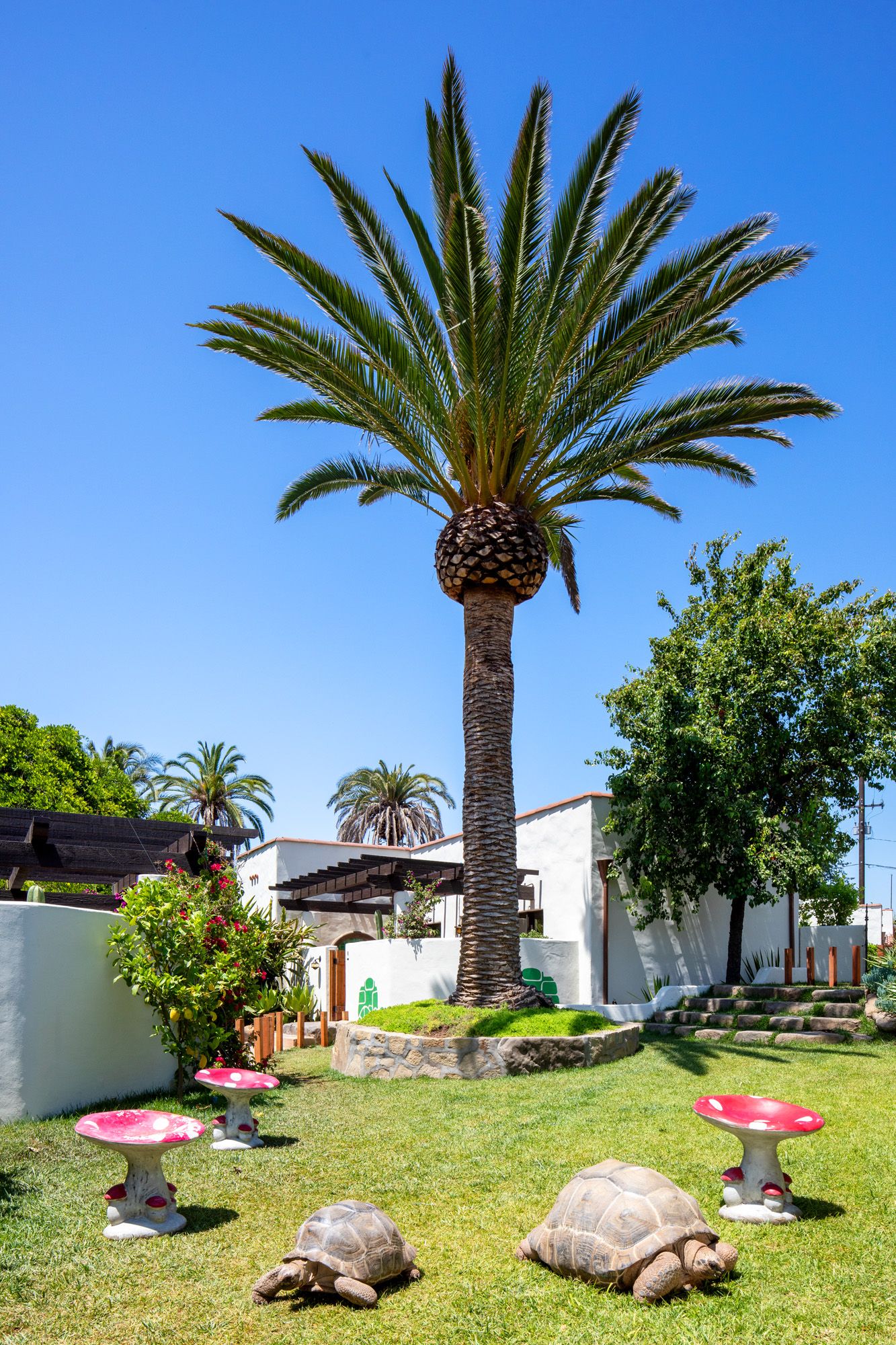 El Roblar Ojai