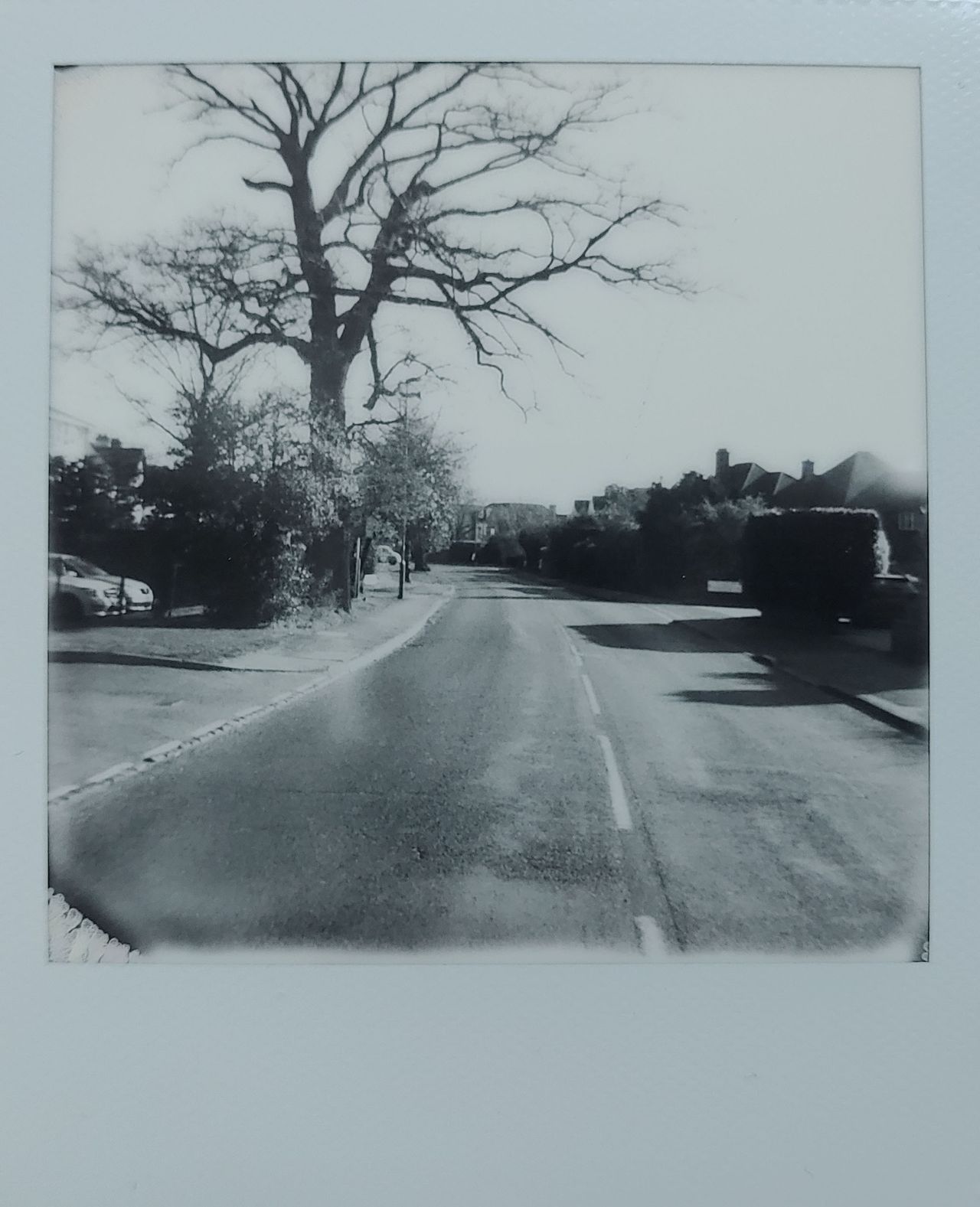 Polaroid Now