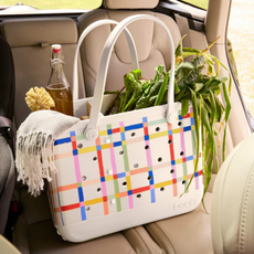 Bogg Bag in the back of a car full of picnic supplies