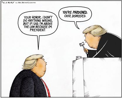 Political cartoon U.S. Trump pardon powers judge court