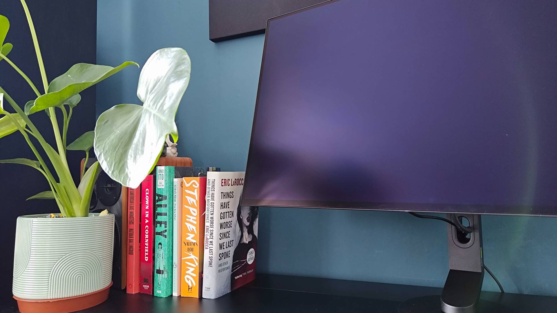 Sony Inzone M10S II tilted towards a bright window next to books and plant.