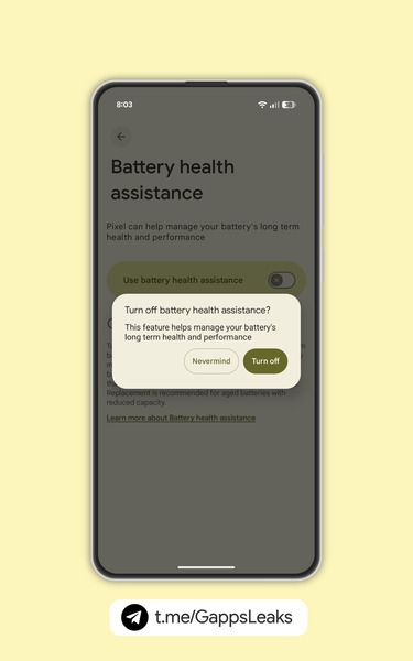 Pixel's Battery Health Assistance feature