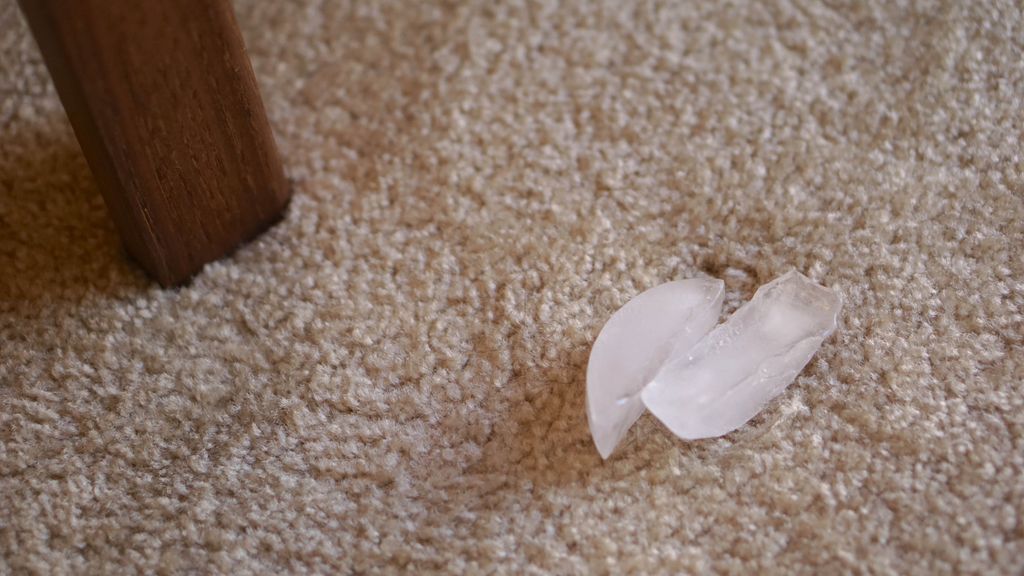 How To Get Dents Out Of Carpet With Ice Cubes at Amanda Harvey blog