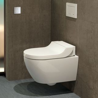 bathroom with wall hung white toilet