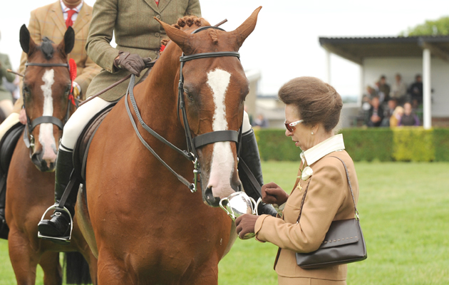 Great yorkshire show , gt yorks show 2010 13 July