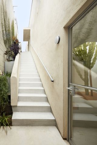 A stairway leading to the first floor of Emeco House, with lime plaster walls and plants visible on the sides