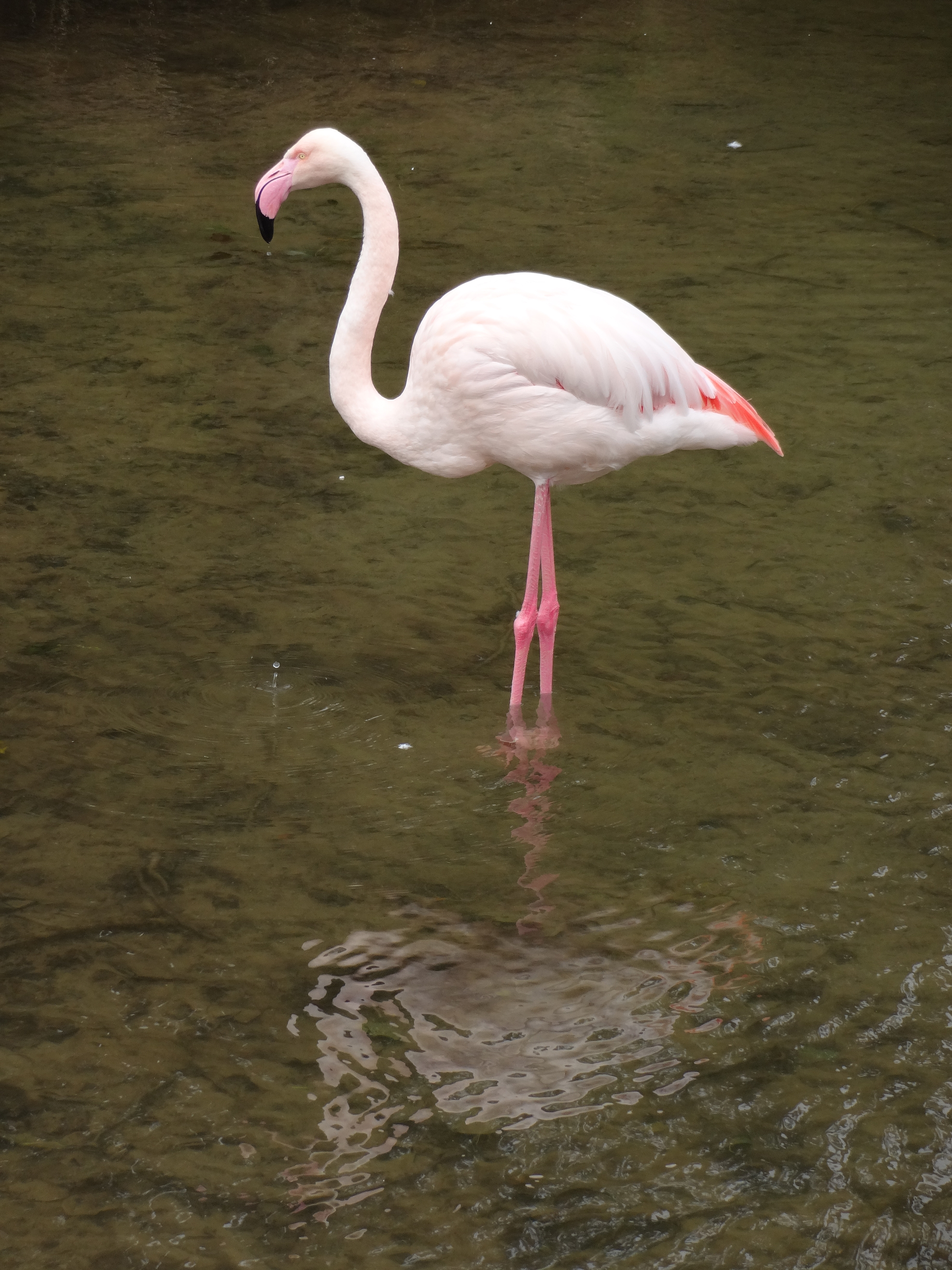 Sony QX10 sample image