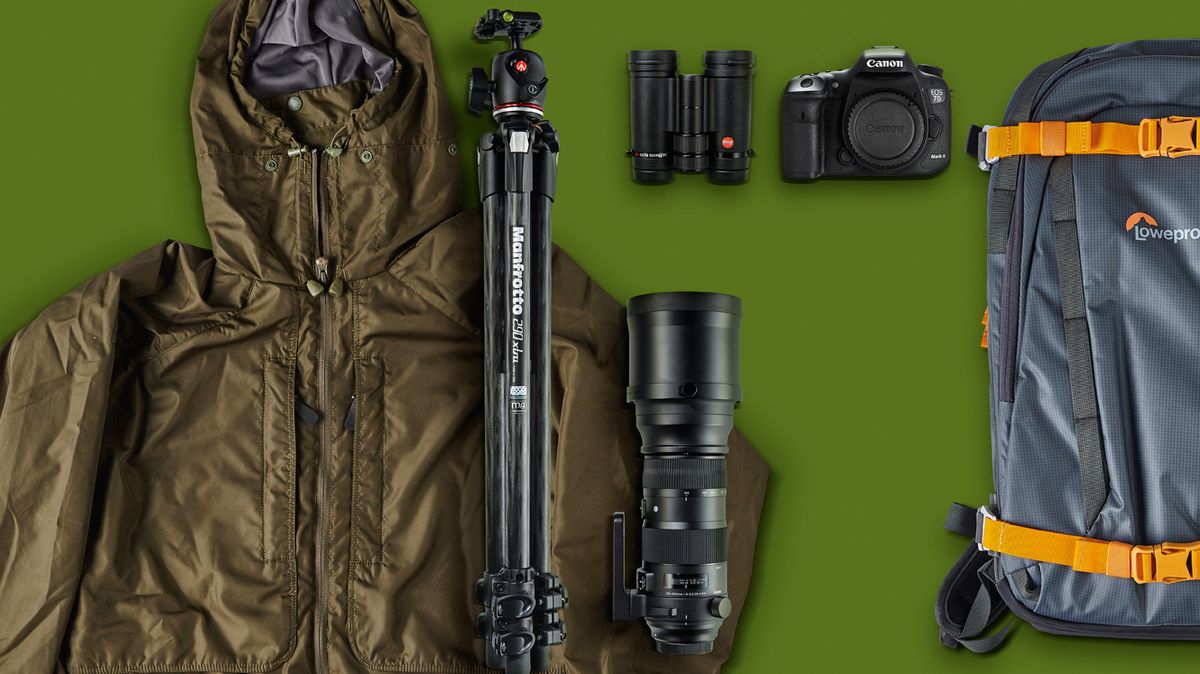 Wildlife photography gear: top tech for staking out the animals | T3