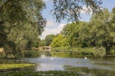 The Humphry Repton parkland at Rivenhall Place, Essex.