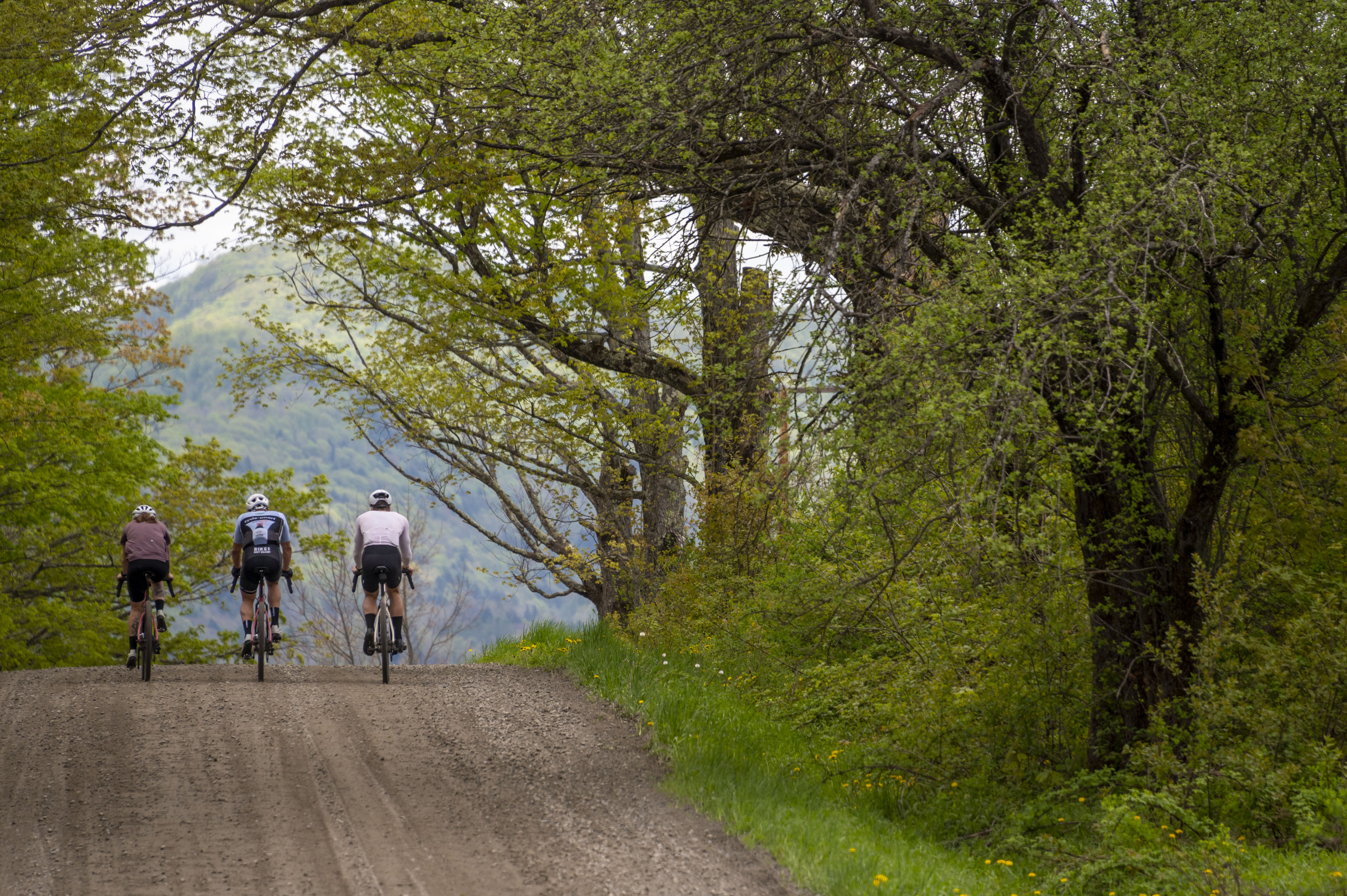 Rook riding with Van Rysel in Vermont