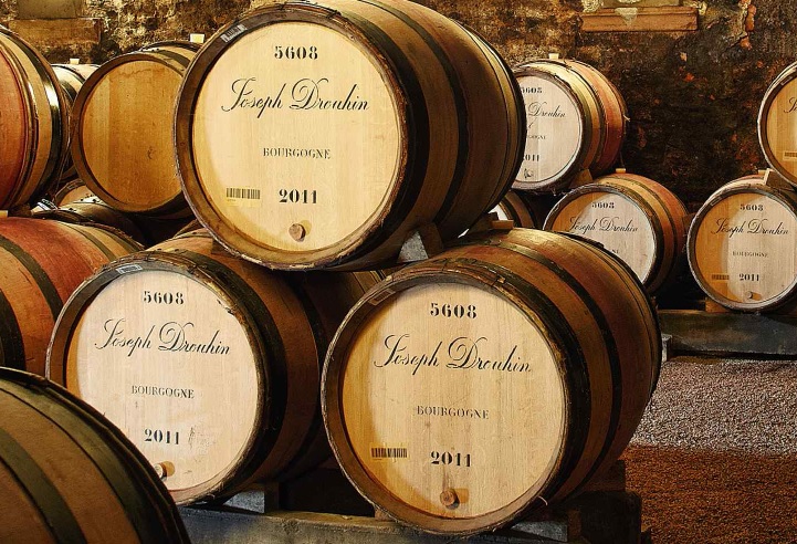 Drouhin cellar