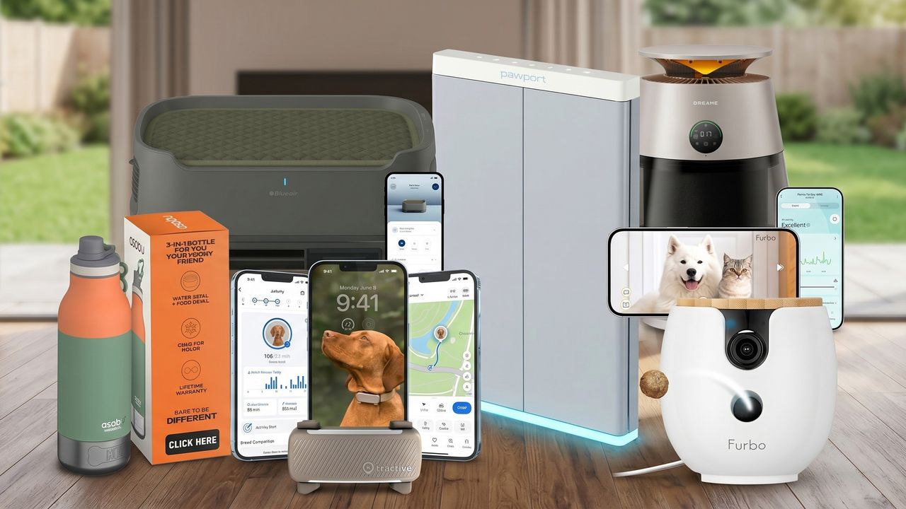9 dog-care gadgets that are so clever they deserve a treat — including an ingenious on-the-go water solution and a 'canine FitBit'