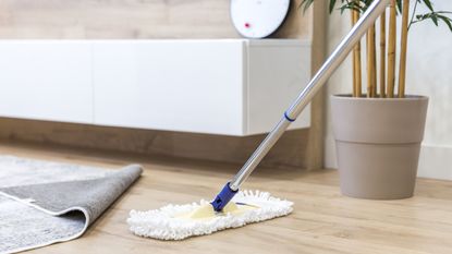 Mopping hardwood floor with potted plant