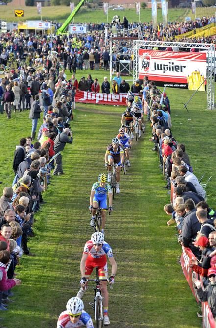 The bunch lined out in Ruddervoorde