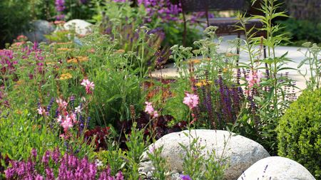 Mix height garden border