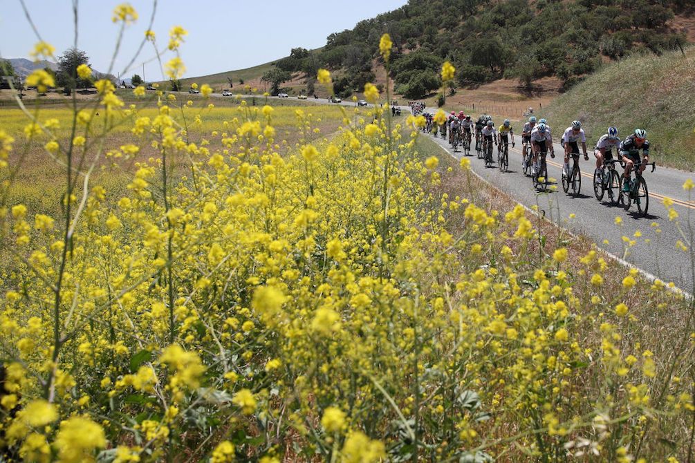 The peloton rides past California's stunning fauna during stage 3 of the 2018 Tour of California