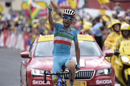 Vincenzo Nibali wins stage nineteen of the 2015 Tour de France (Watson)