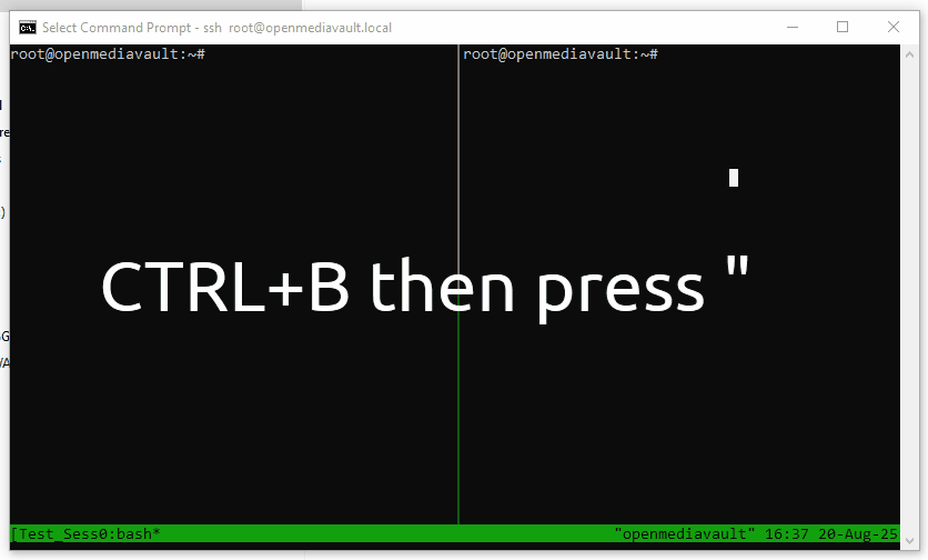 Tmux