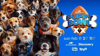 Puppy Bowl 2024 poster