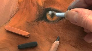 how to draw a fox - image of a fox in pastels