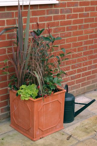 winter containers