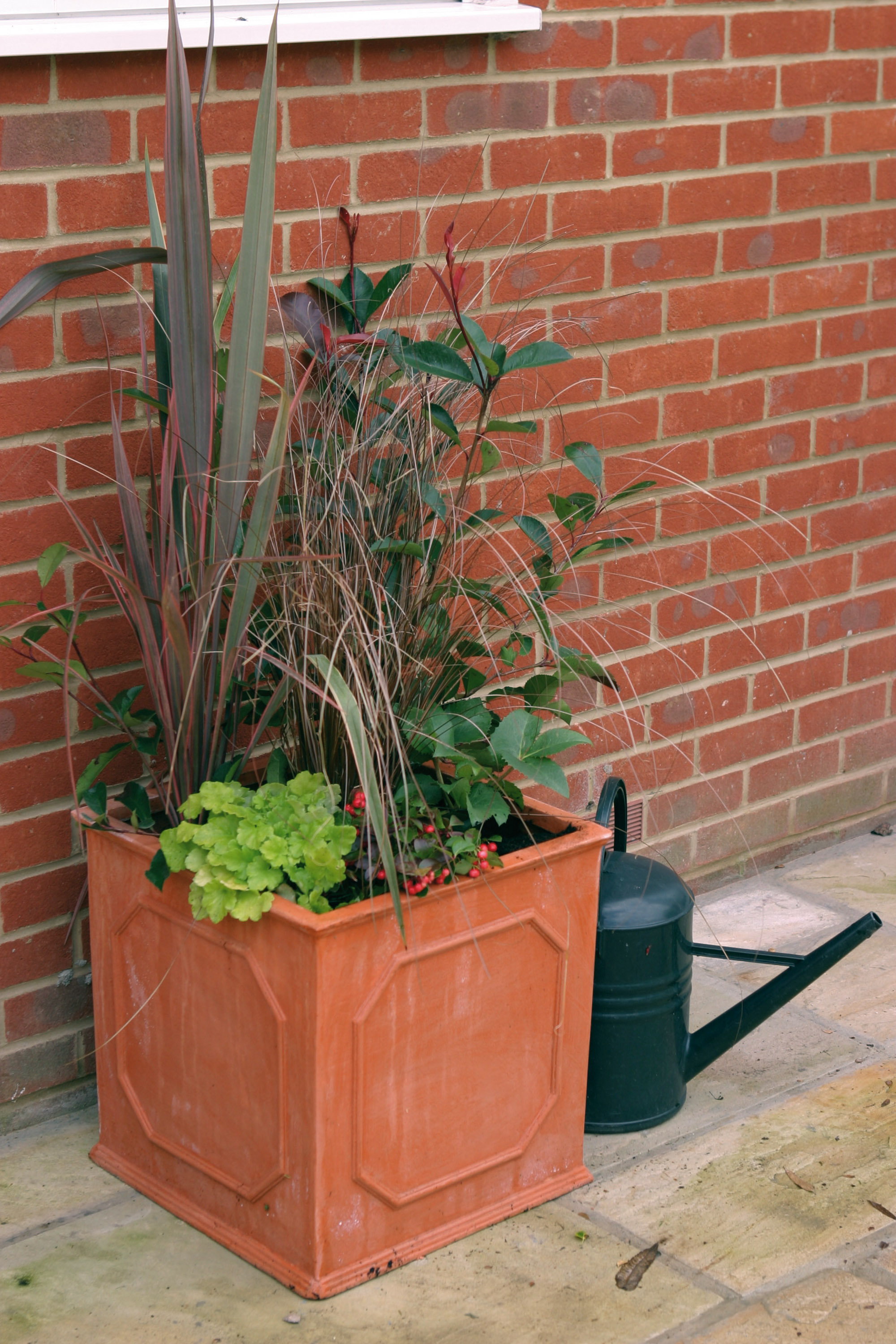 How to plant a winter container follow our stepbystep guide for