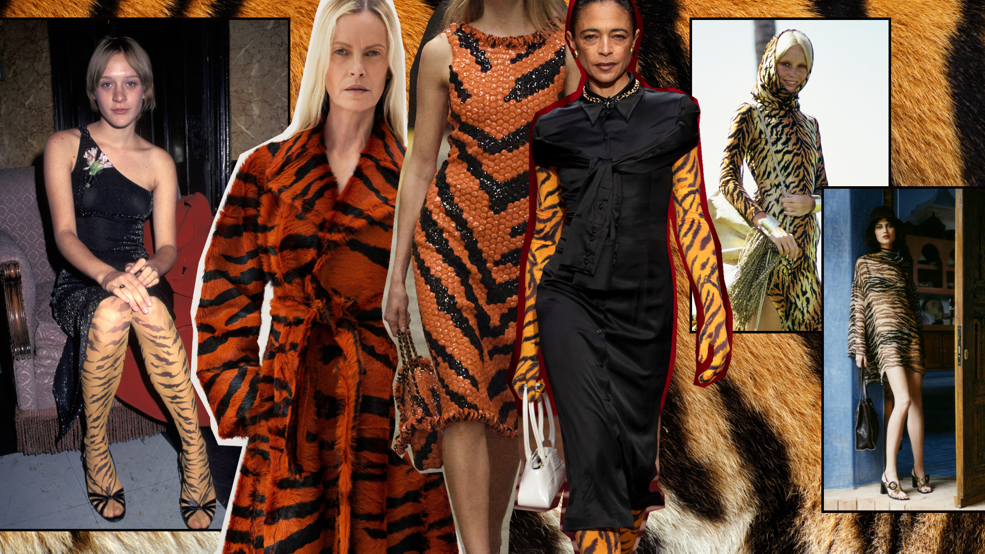 a collage of the 2026's tiger print trend featuring tiger print clothing on models and in runway shows