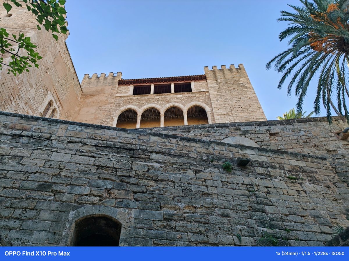 Camera Sample Captured on the Oppo Find X10 Pro Max without the teleconverter kit attached