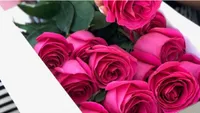 Roses Only