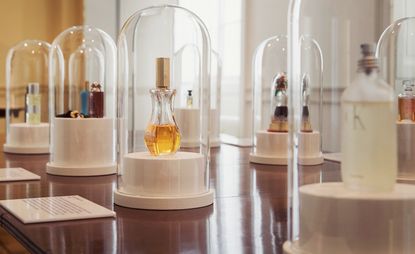 perfume exhibition