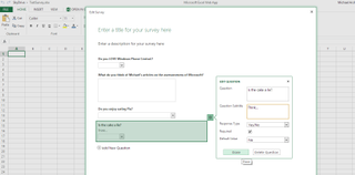 Excel Survey Example