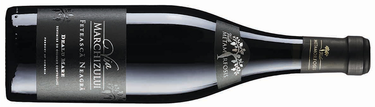 DEC296.romania_wines_to_try.18_viile_metamorfosis_via_marchizului_feteasca_neagra_dealu_mare_muntenia_oltenia_romania_2020.jpg