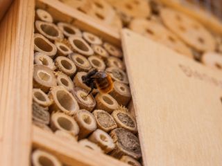 This Honey Bee Home is an Adorable DIY ⋆ An Enchanted Nest %