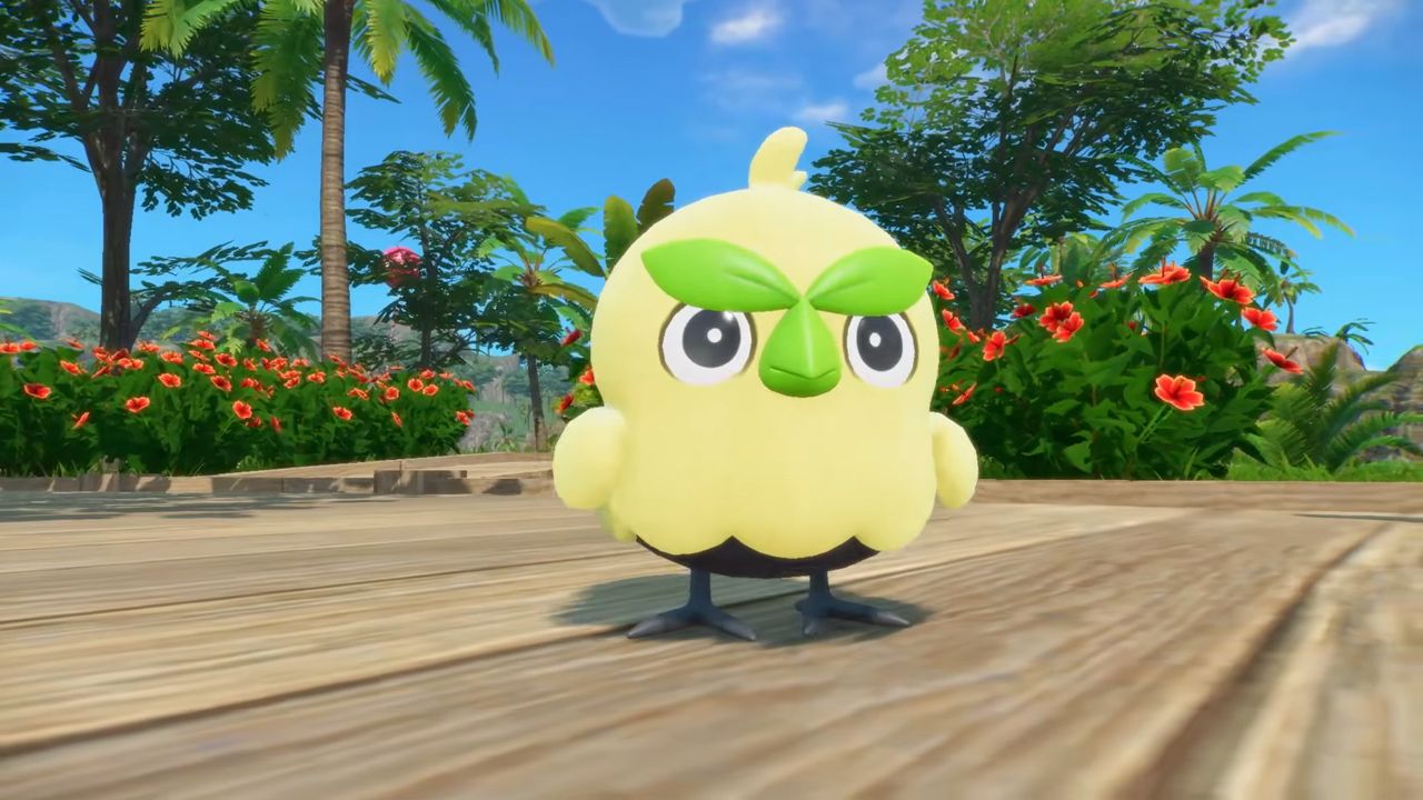 Pokemon Winds and Waves' "angry bird" Browt already has quite the fan following despite everyone agreeing the grass starter is kind of ugly